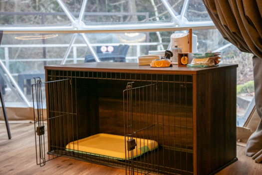 【No Smoking】 Glamp C（up to 4 guests）pets allowed  [lit-up forest side]