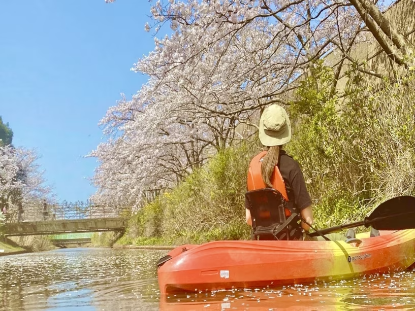 カヤック体験 春は桜見カヤック カヤック体験 春は桜見カヤック