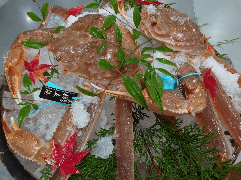 石川県産ブランド蟹「加能蟹」