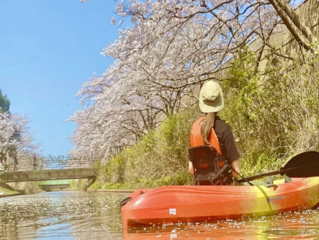 カヤック体験　春は桜見カヤック