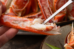 【早割30】～蟹づくしの宴～大人お一人2.2杯使用　旬の味覚を満喫する贅沢蟹会席