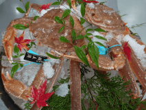 石川県産ブランド蟹「加能蟹」