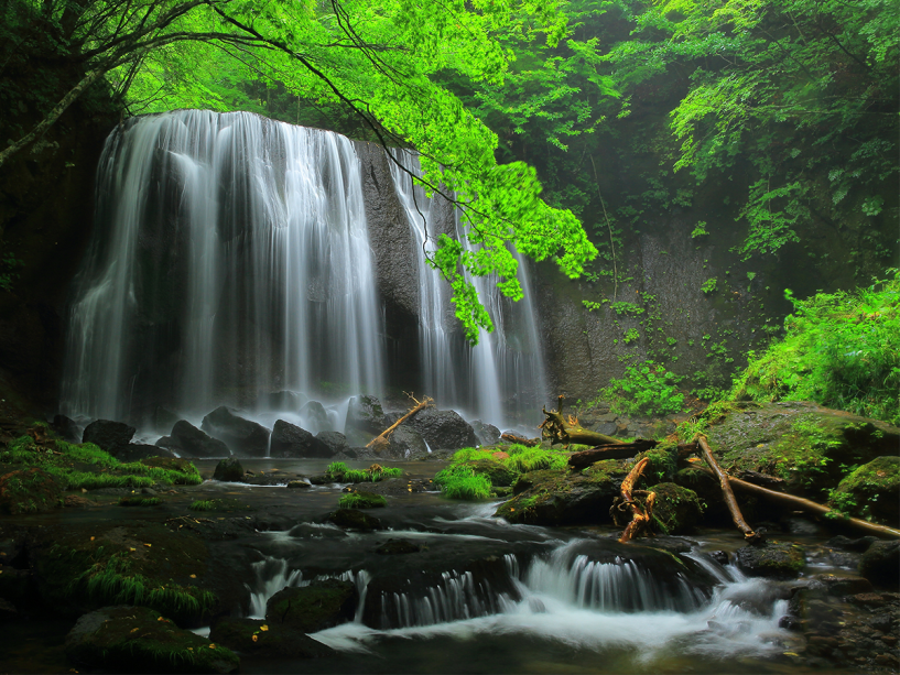 【達沢不動滝】福島県が誇る名瀑。美しい新緑や紅葉も楽しめ、散策にも最適(当館から車で10分) 【達沢不動滝】福島県が誇る名瀑。美しい新緑や紅葉も楽しめ、散策にも最適(当館から車で10分)