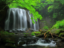 【達沢不動滝】福島県が誇る名瀑。美しい新緑や紅葉も楽しめ、散策にも最適（当館から車で10分）
