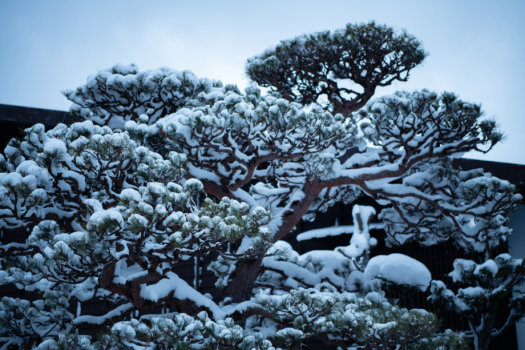 New Year's Eve 2025/2026: All-Inclusive 2-Night Traditional Japanese Experience