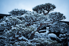 New Year's Eve 2025/2026: All-Inclusive 2-Night Traditional Japanese Experience