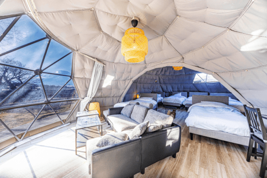 Connect Dome【約50㎡】【不可攜帶寵物】