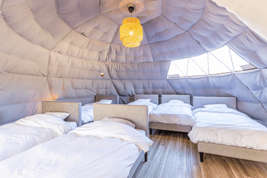 Connect Dome【約50㎡】【不可攜帶寵物】