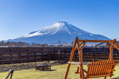 【One Night with Two Meals】Vegan & Gluten-Free Glamping Plan – A Gourmet Plant-Based Experience in Yamanashi