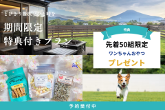 【期間限定特典◆第2弾◆】愛犬家必見！先着50名限定╲ワンちゃんおやつプレゼント／