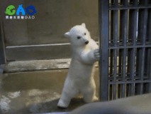 男鹿水族館ＧＡＯ