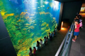 男鹿水族館GAO