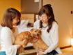 【愛犬伴専用客室】 小型犬(6㎏以下)で1室あたり2頭まで同伴可能です。※イメージ