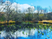 箱根湿生花園