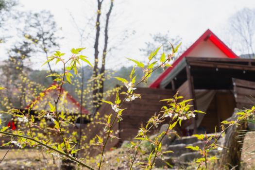 【一泊二食＆温泉つき】秋の恵みフルコースBBQを楽しむ「オータムプラン」