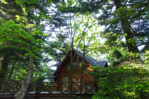 【アウトドアデビュー全力応援】自然と遊ぶ！ものづくり体験つきファミリープラン