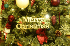 【期間限定クリスマスルーム】PUITA-プイタ-(愛犬同伴可)