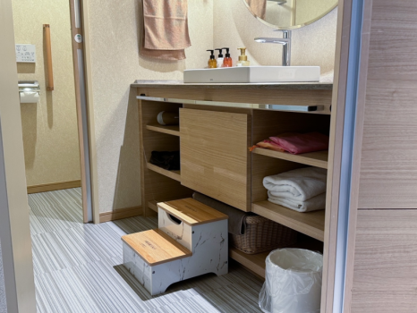 【赤ちゃん歓迎】添い寝のお子様無料＋レイトアウト11時特典◇赤ちゃん旅行デビュー応援プラン／１泊２食付