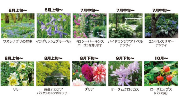 日本初の本格的英国式庭園・蓼科高原バラクラ イングリッシュ ガーデン入園券付／１泊２食付