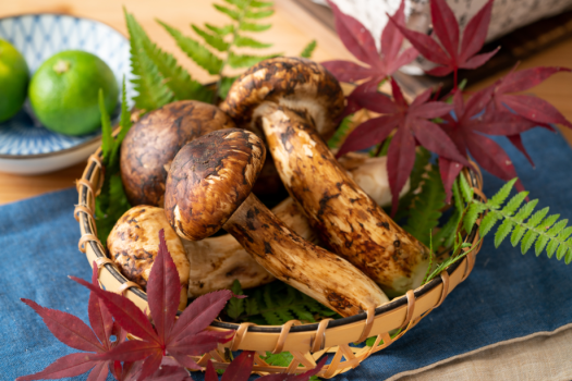 【紅や四季物語プラン（秋）】信州の贅沢を味わう～彩り豊かな秋の饗宴～／松茸会席