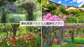 バラクラプラン バラクラプラン