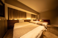 Delux Twin Room Non-smoking Delux Twin Room Non-smoking
