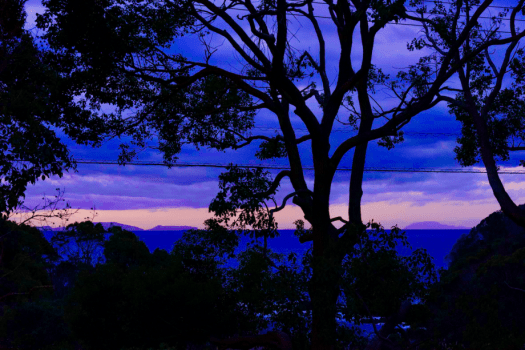 THE SEA フィールドからの朝焼け