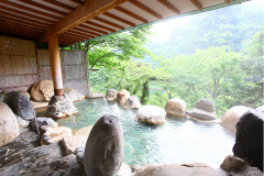 ◇スタンダード◇【バイキング＆ワンドリンク付/２食付】