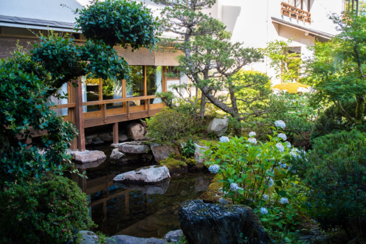 繊細な美しさが光る庭園。ちいさな池や印象的な大木など、見どころ沢山です。お部屋や温泉からもゆっくりご覧いただけます。