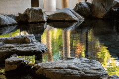 水面に映る庭園の景色とともに、内湯をお楽しみください。