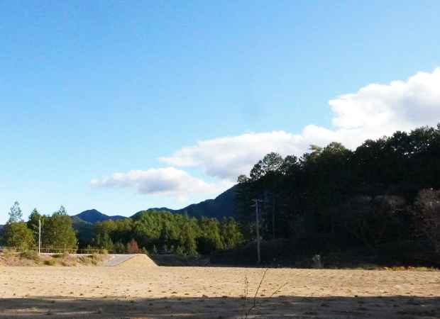 キャンプイズム　HOSHIZORA FREE CAMP AREA スタンダードプラン