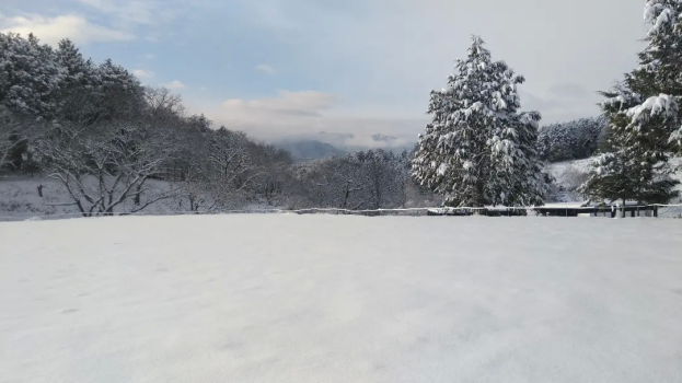 キャンプイズム　HOSHIZORA FREE CAMP AREA スタンダードプラン