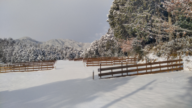 HOSHIZORA AUTO CAMP AREA スタンダードプラン
