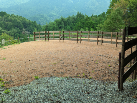 HOSHIZORA PANORAMA AREA スタンダードプラン