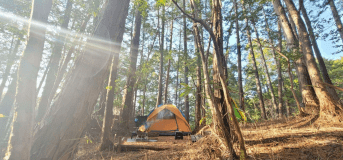 A【ﾍﾟｯﾄ可】隠れ家サイト