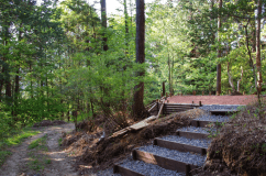 D 隠れ家サイト