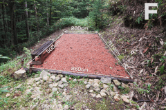 F 隠れ家サイト