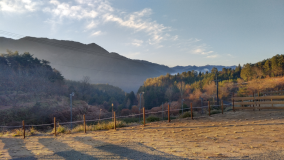 星空フリーサイト