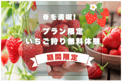 【春限定】SNS投稿で無料🎁いちご狩り体験付きの1泊2食付きプラン🍓甘酸っぱい苺を30分間食べ放題！＜1泊2食付き＞