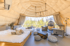 ドッグランドーム【2ベッド・犬同伴可・ドッグラン155㎡～】