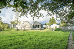 ドッグランドーム【2ベッド・犬同伴可・ドッグラン155㎡～】