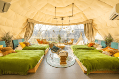 ドッグランドーム【4ベッド・犬同伴可・ドッグラン22㎡～】