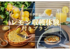 【WEB限定！レモン収穫＆調理体験付き】グランピングBBQプラン～瀬戸内牛や瀬戸内海の海の幸など美食の島をまるごと愉しむグルメグランピング~