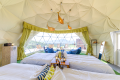 Panoramic Domes [No pets allowed]