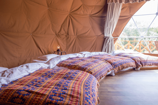 Dog Run Dome / 4 beds