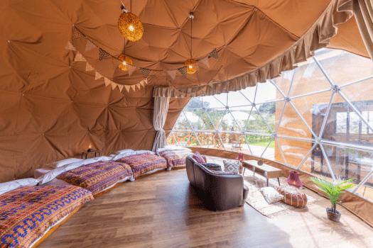 Dog Run Dome / 4 beds