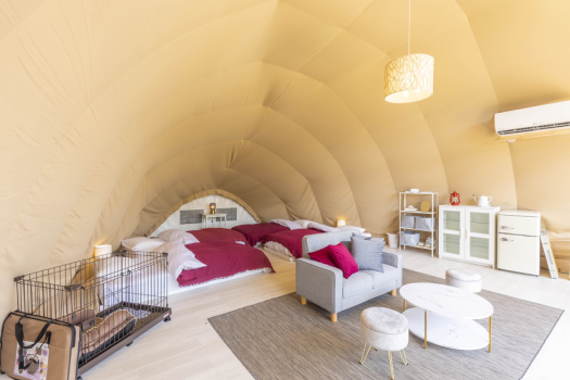 【卒業旅行プラン】✨期間限定✨4名以上で1名無料‼️学生だけの超お得プランが登場♪思い出作りはここで決まり🌈REST GLAMPING
