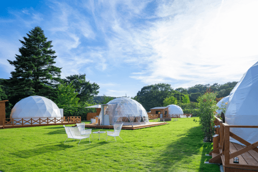 Garden Dome with Sauna / 4 beds