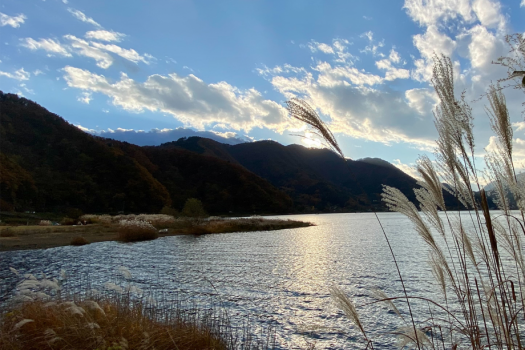 【素泊り】＜1棟貸し・basicプラン＞～1日3組限定・富士山のふもとで自由気ままに過ごす～
