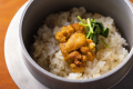 【プレミアム-食事】料理イメージ